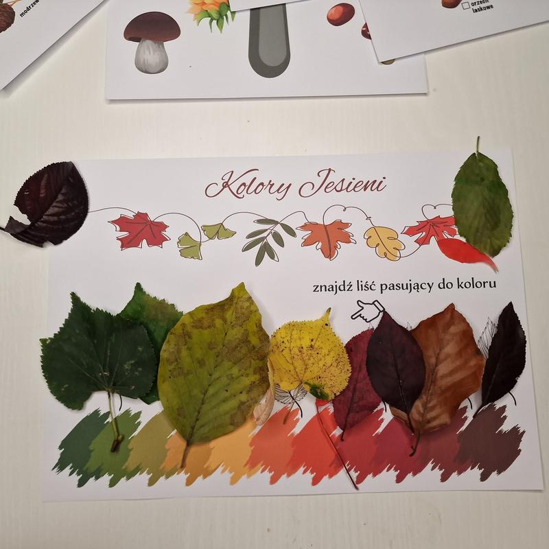 Najmodniejsze odcienie jesieni