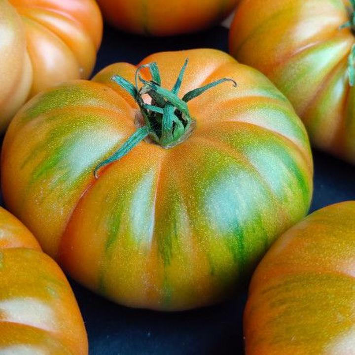 Dojrzewanie zielonych pomidorów w domu