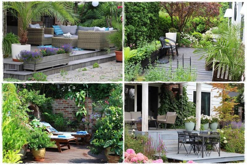 Wybór roślin do donic na tarasie – co posadzić, by cieszyć oko?