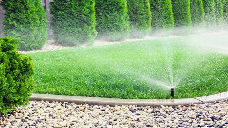 Wybór odpowiedniego systemu nawadniania ogrodu: pompa czy hydrofor?