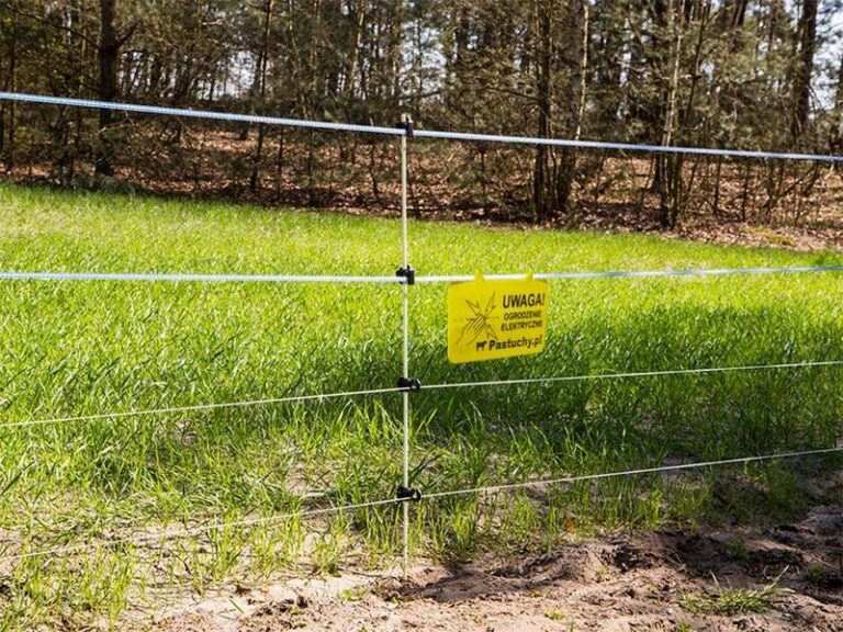 Sekrety budowy skutecznego pastucha elektrycznego krok po kroku