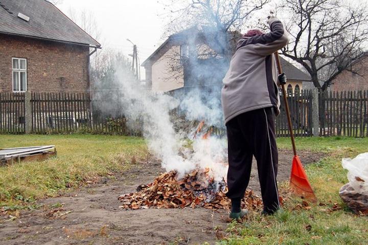 Skutki zdrowotne palenia liści