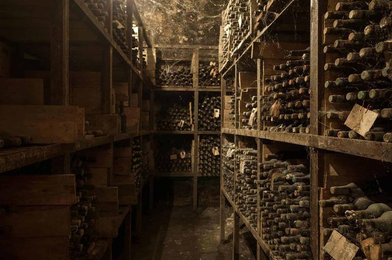 Jak stworzyć idealną piwniczkę krok po kroku