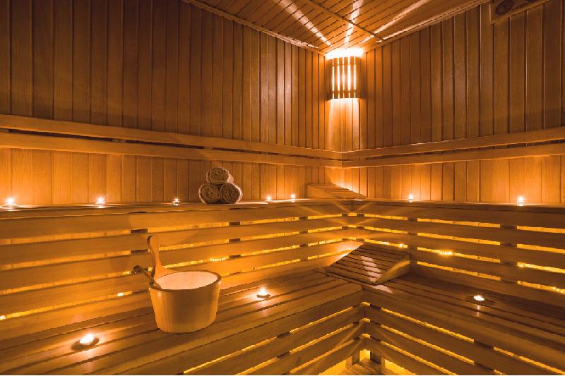 Sauna fińska w ogrodzie